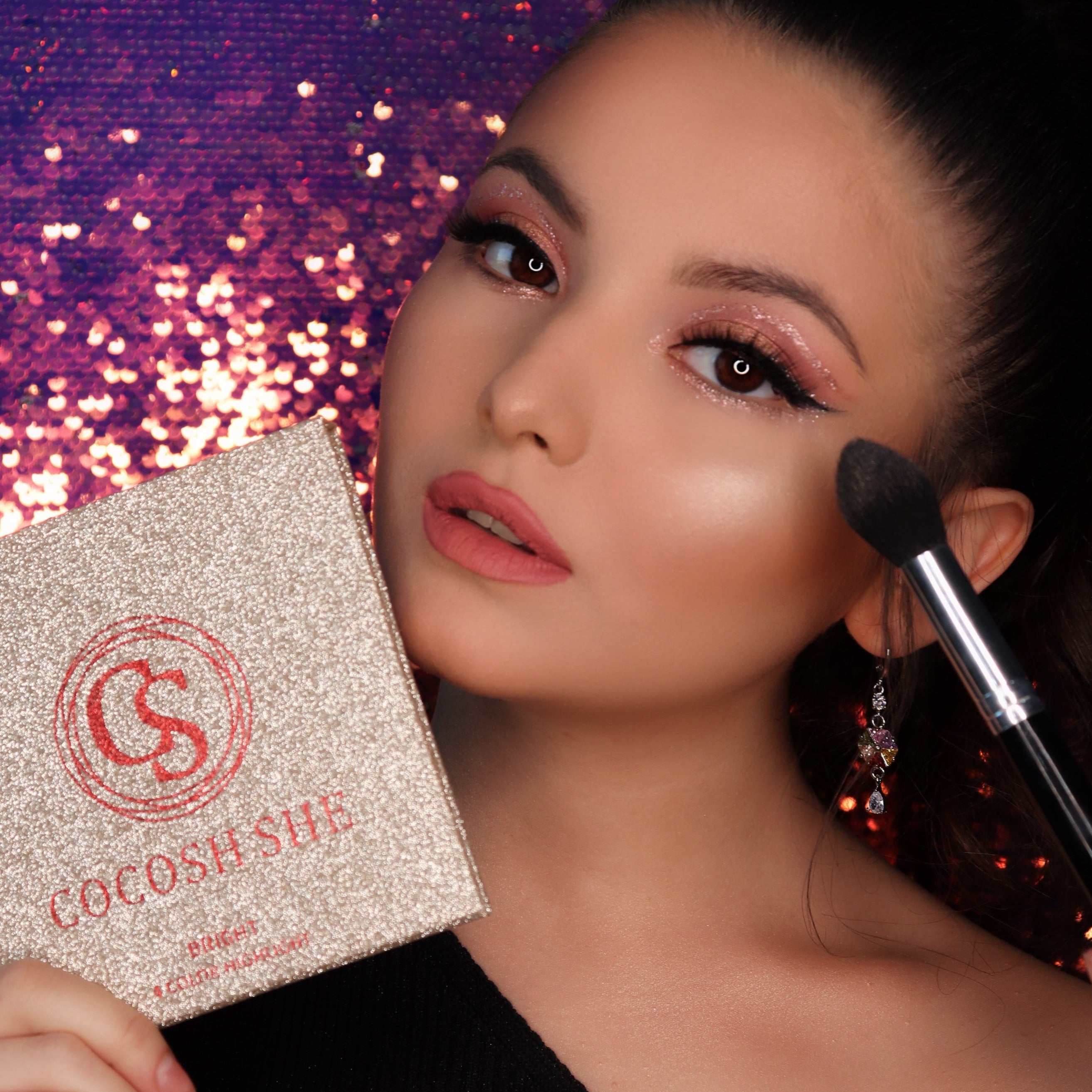 Highlighter, Allık, Pudra Fırçası